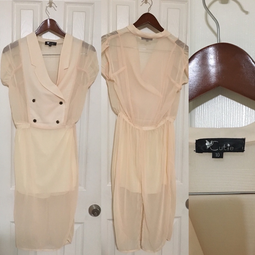 Vintage Sheer Dress